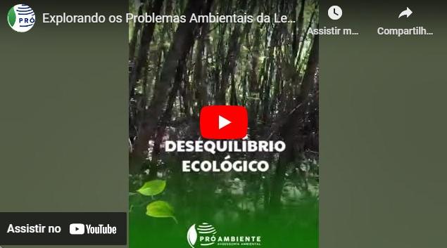 Explorando os Problemas Ambientais da Leucena!