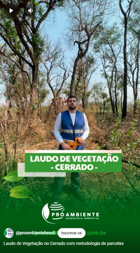 Laudo de Vegetação no Cerrado com metodologia de parcelas